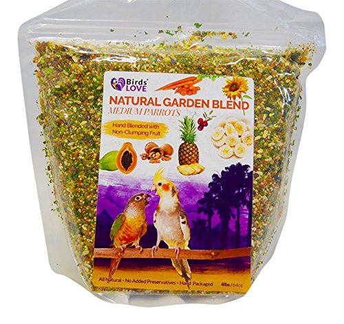 Birds LOVE All Natural Garden Blend Bird Food for Medium Birds - Cockatiels, Green Cheek Conures, Ringneck Parakeets and Small Quakers 4lb