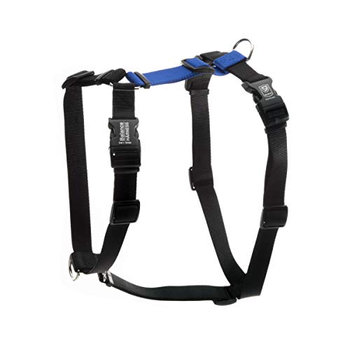 Blue-9 Buckle-Neck Balance Harness, Fully Customizable Fit No-Pull Harness, Ideal for Dog Training and Obedience, Made in The USA, Blue, Medium