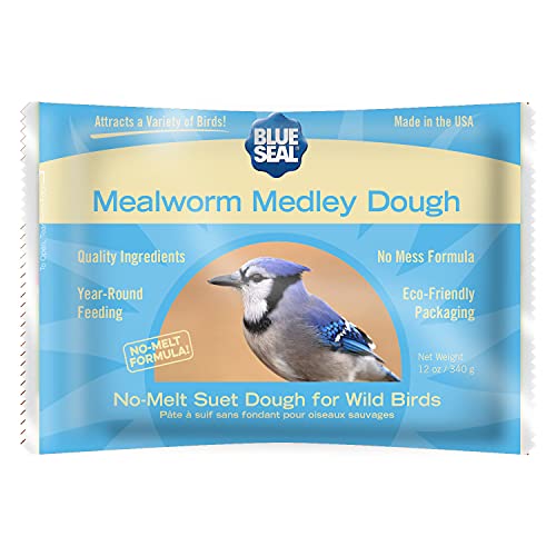 Blue Seal Mealworm Medley Suet Dough Cake | No Mess Wild Bird Suet | 12 oz (12 Pack)