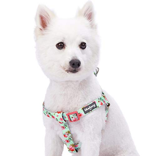 Blueberry Pet 9 Patterns Step-in Spring Scent Inspired Floral Rose Print Turquoise Dog Harness, Chest Girth 16.5" - 21.5", Small, Adjustable Harnesses for Dogs