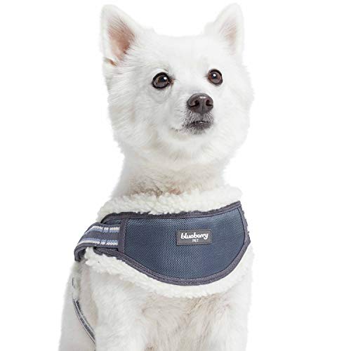 Blueberry Pet Soft & Comfy Multi-Colored Stripe Fleece Padded Chest Dog Harness, Chest Girth 20.5" - 26", Grey, Medium, Adjustable No Pull Training Harness for Dogs