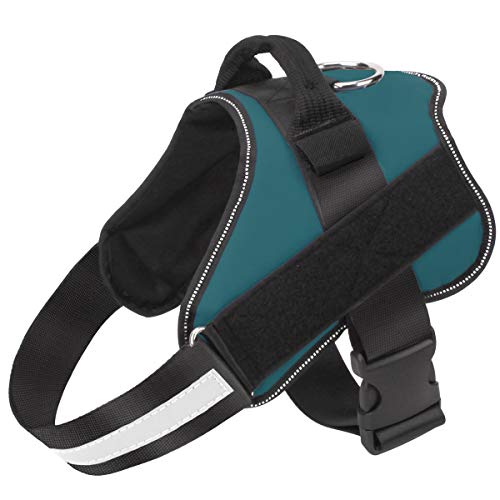 Bolux Dog Harness, No-Pull Reflective Dog Vest, Breathable Adjustable Pet Harness with Handle for Outdoor Walking - No More Pulling, Tugging or Choking (Turquoise, XL)