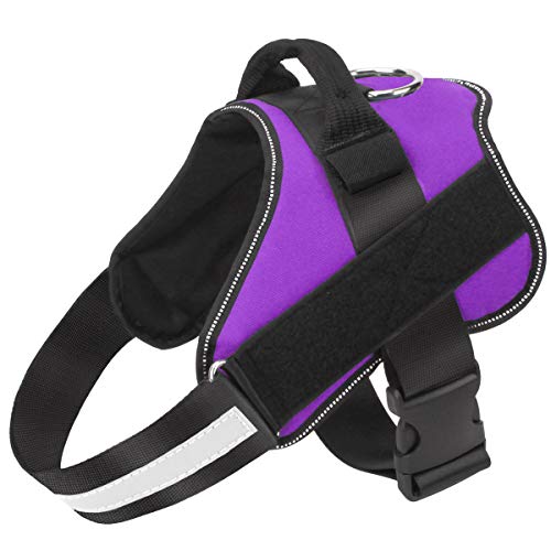 Bolux Dog Harness, No-Pull Reflective Dog Vest, Breathable Adjustable Pet Harness with Handle for Outdoor Walking - No More Pulling, Tugging or Choking (Purple, L)