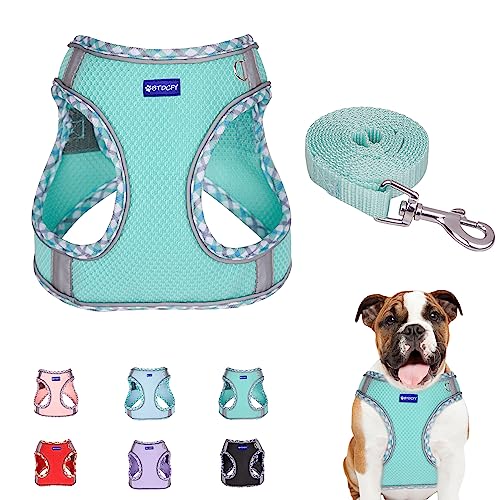 BTDCFY Step in Mesh Dog Harness and Leash Set Breathable Air Mesh Reflective Escape Proof Dog Harness Vest No Choke Lightweight Mesh Dog Harness Green