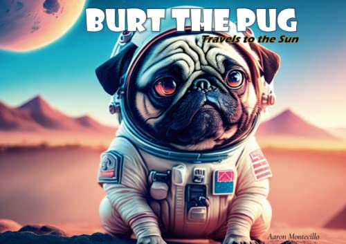 Burt The Pug: Travels to the Sun