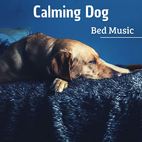 Calming Dog Bed Music