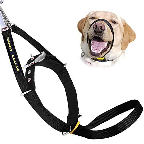 Canny Collar Dog Head Collar, No Pull Leash Training Head Harness, Easy to Fit Halter that Stops Pulling, Comfortable & Calm Control with Padded Collar, Kind To Your Dog, Enjoy Gentle Walks with Small, Medium or Large Dogs, Black, Blue, Purple & Red