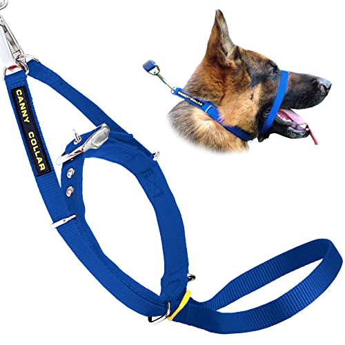 Canny Collar Dog Head Collar, No Pull Leash Training Head Harness, Easy to Fit Halter that Stops Pulling, Comfortable & Calm Control with Padded Collar, Kind To Your Dog, Enjoy Gentle Walks with Small, Medium or Large Dogs, Black, Blue, Purple & Red