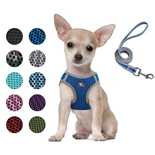 Cat Universal Harness with Leash - Escape Proof - Adjustable Reflective Step in Dog Harness for Small / Medium Dogs - Soft Mesh Comfort Fit No Pull No Choke (X-Small, Blue)