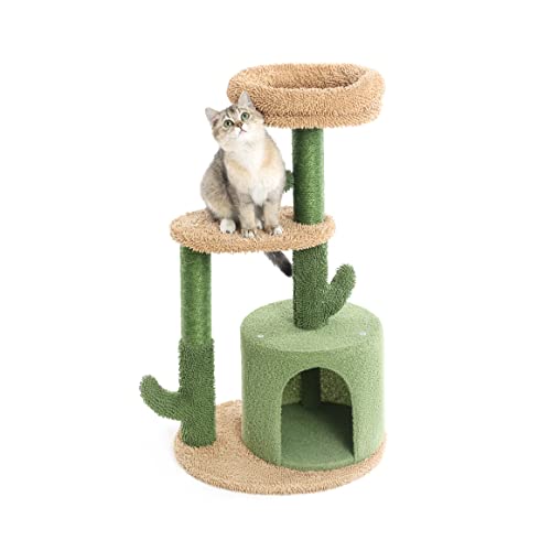 Spiral Cat Tree 2024 - Vet Ranch - We Love Pets