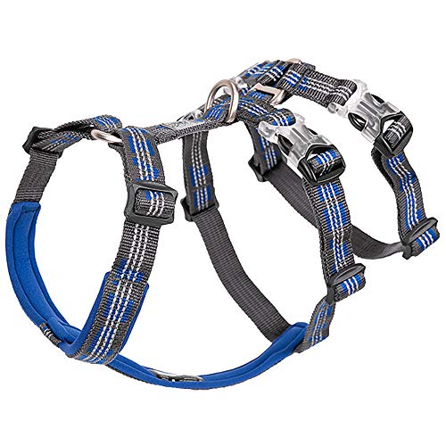 Chai's Choice - Premium No-Pull Dog Harness - Double H Trail Runner, 3M Reflective Vest for Dogs (Large, Royal Blue/Gray)