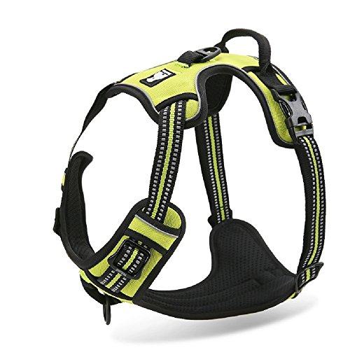 Chai's Choice - Premium Outdoor Adventure Dog Harness - 3M Reflective Vest with Two Leash Clips, Matching Leash and Collar Available (Lemon Lime Large)