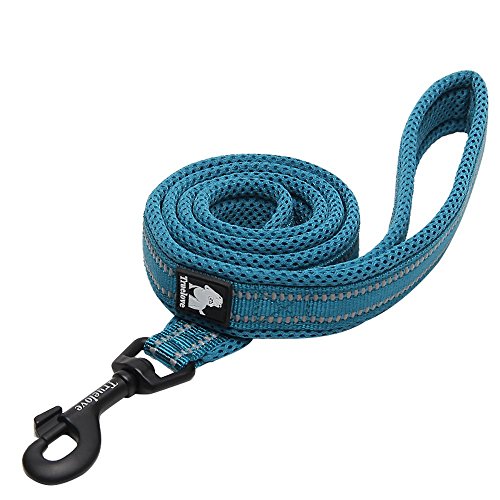 Chai's Choice - Premium Outdoor Adventure Dog Leash - Padded, 3M Reflective Leash, Pet Products for Matching Dog Leash, Dog Harness and Dog Collar, Teal Blue, 78" Large