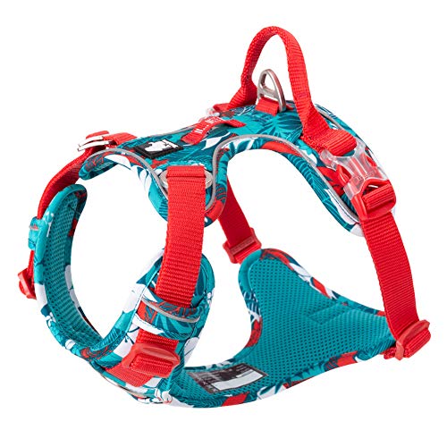 Chai's Choice Premium Tropic Thunder Edition Dog Harness - No Pull Dog Harness with Quick-Release Neck Strap for All Sized Dogs - Tropic Aqua, Medium