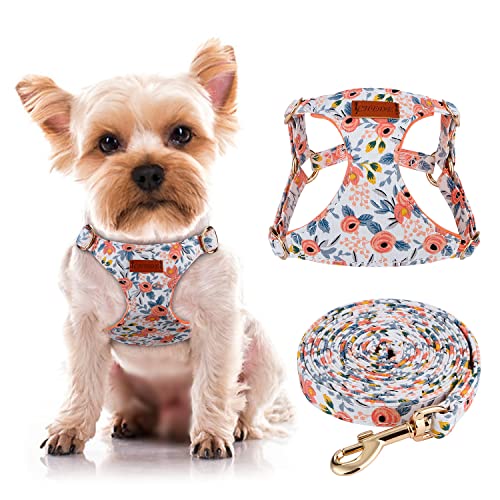 CHEDE No Pull Floral Pattern Dog Harness- Lightweight, Soft , Adjustable Small Harness and Leash Set, Suitable for Puppy Small and Medium-Sized Dog (XS, Orange Rose)
