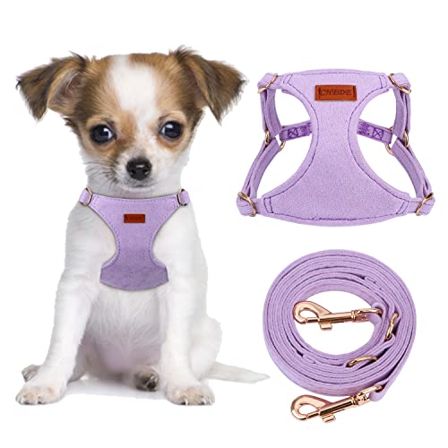 CHEDE No Pull Puppy Harness and Multifunction Dog Leash Set- 8 Colors Soft Adjustable No Choke Escape Proof Cute,Lightweight Pet Vest Harness for Small and Medium Dog (XXS, Purple)