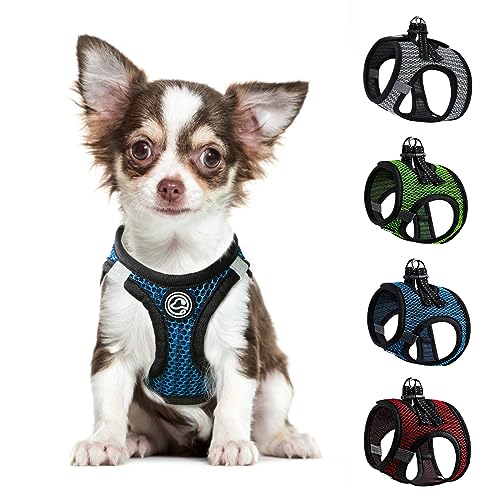 Chihuahua Dog Harness - Teacup Dog Harness for XXS, XS, Small Dogs - Adjustable Dog Harness for Small Medium Dogs Cats Pet Harness for Dog (Blue, Small)