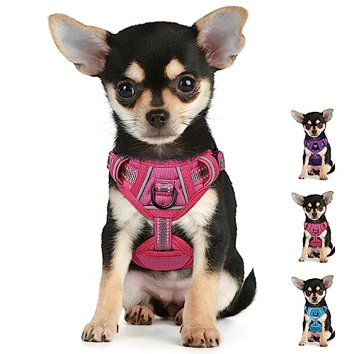 Chihuahua Harness, Puppy Harness for Small Dogs, XXSmall Dog Harness, Extra Small Dog Harness, No Pull Puppy Harness, Cat Harness, Adjustable Dog Harness for Growing Puppy, Rose