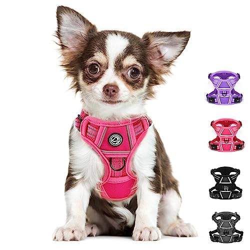 Chihuahua Harness XXSmall Dog Harness Extra Small Dog Harness No Pull Puppy Harness Cat Harness Puppy Harness for Small Dogs Adjustable Dog Harness for Growing Puppy (Rose, XX-Small)