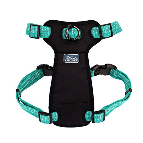 Coastal - K-9 Explorer - Brights Reflective Front-Connect Harness, Ocean, 1" x 26"-38"