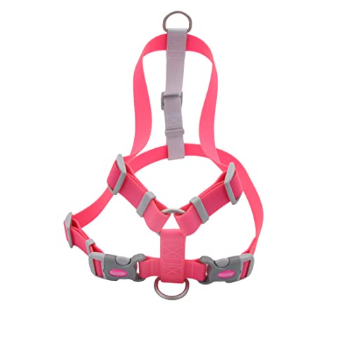 Coastal - Pro Waterproof Dog Harness - Durable and Adjustable - Fuschia - 3/4” x 13"-18”