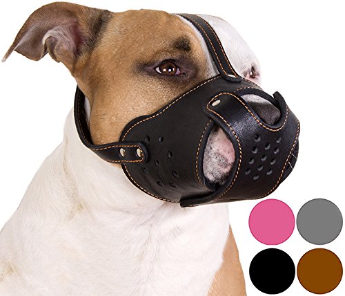 CollarDirect Dog Muzzle Pitbull Amstaff Basket Genuine Leather Staffordshire Terrier (Black)