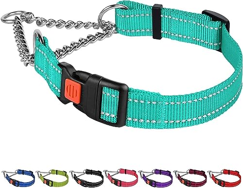 CollarDirect Martingale Dog Collar with Stainless Steel Chain and Quick Release Buckle - Reflective Collar for Large, Medium, Small Dogs - Mint Green, Medium (Neck Size 14"-17")