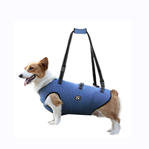 Coodeo Dog Lift Harness, Pet Support & Rehabilitation Sling Lift Adjustable Padded Breathable Straps for Old, Disabled, Joint Injuries, Arthritis, Loss of Stability Dogs Walk (Blue, S)