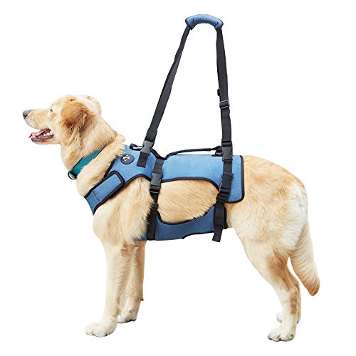 Coodeo Dog Lift Harness, Support & Recovery Sling, Pet Rehabilitation Lifts Vest Adjustable Breathable Straps for Old, Disabled, Joint Injuries, Arthritis, Paralysis Dogs Walk (Large)