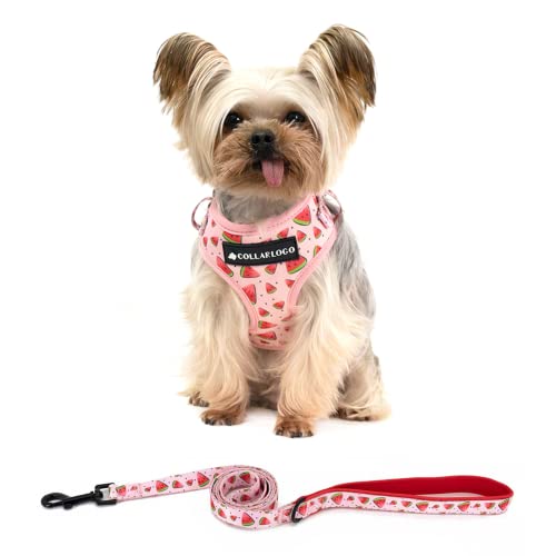 Coowone Dog Harness and Leash Set, Adjustable Puppy Harness and Soft Padded Dog Vest Harness for Small Medium Large Dogs