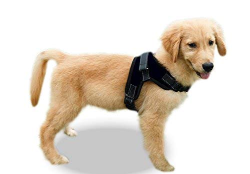 Copatchy No Pull Reflective Dog Harness (Small, Black)