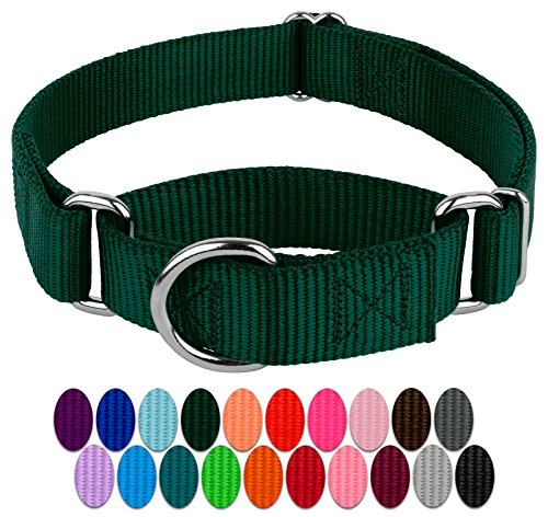 Country Brook Petz - Green Martingale Heavy Duty Nylon Dog Collar - 21 Vibrant Color Options (1 Inch Width, Large)