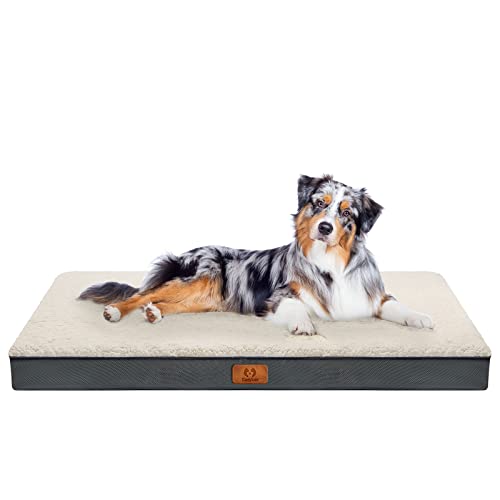 CozyLux Dog Beds for Large Dogs - Large Dog Bed for 65 lbs, Egg-Crate Foam Cat Bed Mat, Removable Washable Cover, Grey 35 X 22 X 3 inch