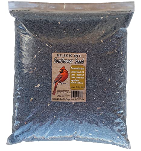 Desert Valley Premium Black Oil Sunflower Seeds - Wild Bird - Wildlife Food, Cardinals, Squirrels, Doves & More (10-Pounds)