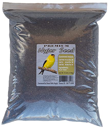 Desert Valley Premium Nyjer Seed - Wild Bird - Finch Food (10-Pounds)