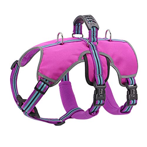 Didog Escape Proof Dogs Harness,Soft Breathable Padded & Reflective,Adjustable No Pull Dog Harness with Lift Handle & Double Leash Clips for Medium Large Dogs Walking Hiking Training,Purple,M