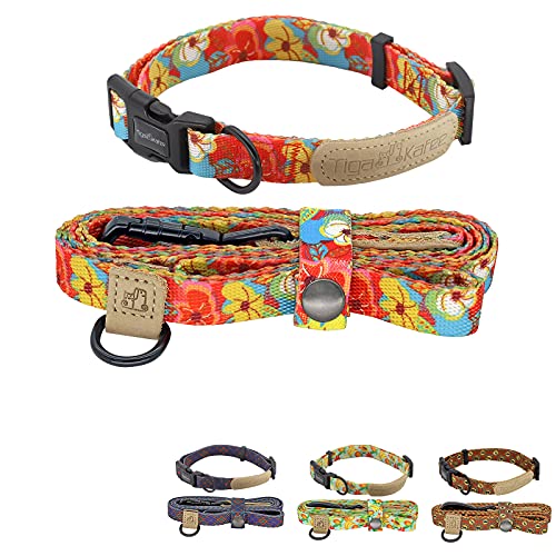 Dog Collar and Leash Set, Colorful, Strong and Sturdy Collar/Leash Combo for Small Medium and Large Dogs and Cats (Flower, L)