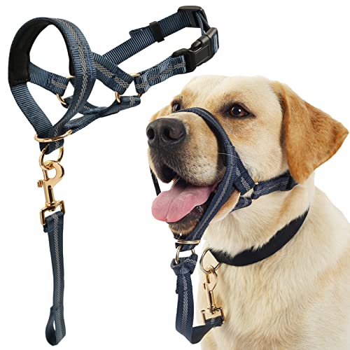 Dog Head Collar, No Pull Dog Halter with Soft Padding, Durable, Reflective Training Tool for Medium Large Dogs, Labrador, Stops Heavy Pulling and Easy Control on Walks, Includes Free Training Guide