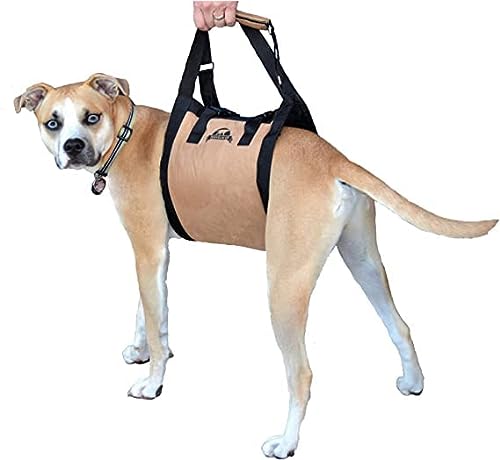 Dog Lift Harness - Dog Support Harness - Dog Stair Lift - Dog Car Lift for Disabled Dogs, Elderly Dogs, Injured Dogs - support dogs back legs - Rehabilitation Harness. Travelin' K9 Medium or Large