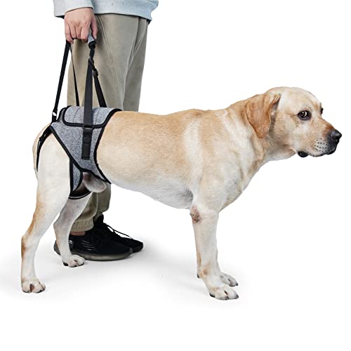 Dog Lift Harness, TORJOY Dog Sling for Small Medium Large Dogs, Dog Support Harness for Back Legs, Adjustable Soft Padded Pet Harness for Olderly, Injured, Arthritic, Disabled Dogs, Grey, M