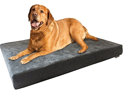 Dogbed4less XL Orthopedic Memory Foam Dog Bed with Machine Washable Cover, Waterproof Lining for Medium to Large Pet, 47X29X4 Pad Fit 48X30 Crate