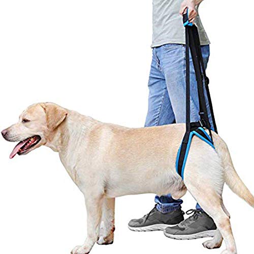 DogLemi Dog Lift Harness Portable Lifting Sling Support Strap Help Dogs with Weak Rear Legs Back for Small Large Dogs Surgery Recovery Walking Pain Relief