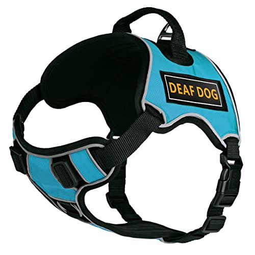 Dogline Quest No-Pull Dog Harness with 3D Rubber Deaf Dog Removable Patches Reflective Soft Comfortable Dog Vest with Quick Release Dual Buckles Black Hardware and Handle 18 to 22 inches Teal