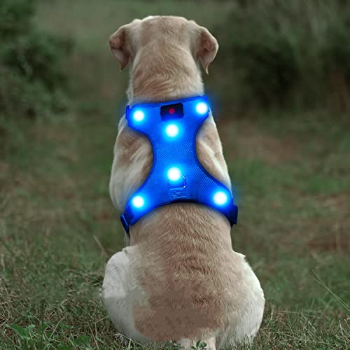 DOMIGLOW LED Dog Harness USB Rechargeable Light Up Dog Harness No Pull Pet Harness Adjustable Padded Soft Dog Vest for Your Small Medium Large Dogs(L, Blue)