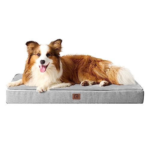 Good Dog Beds Com 2024 - Vet Ranch - We Love Pets