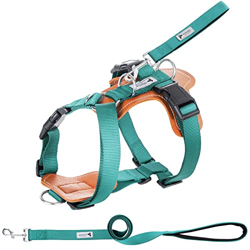 Elegant Dog Harness and Leash Set, Leather No Pull Dog Harness with Easy Control Removable Handle, Adjustable Pet Vest Harness for All Breed, No-Choke Pet Oxford Vest for Small Medium Dog(Turquoise,L)