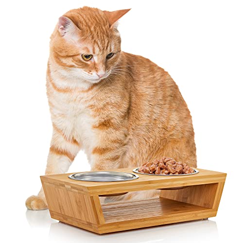 Elevated Cat Bowls by Pawfect Pets- 4” Raised Cat Bowl. Cat Feeder Comes with Four Stainless Steel Cat Bowls. Cat Food Bowl