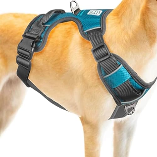 Embark Adventure Dog Harness, No Pull Dog Harness with 2 Leash Clips, Dog Harness for Medium Dogs No Pull. Front & Back with Control Handle, Adjustable Blue Dog Vest, Soft & Padded for Comfort