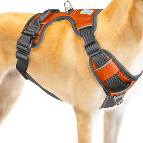 Embark Adventure Dog Harness, No Pull Dog Harness with 2 Leash Clips, Dog Harness for Large Dogs No Pull. Front & Back with Control Handle, Adjustable Orange Dog Vest, Soft & Padded for Comfort