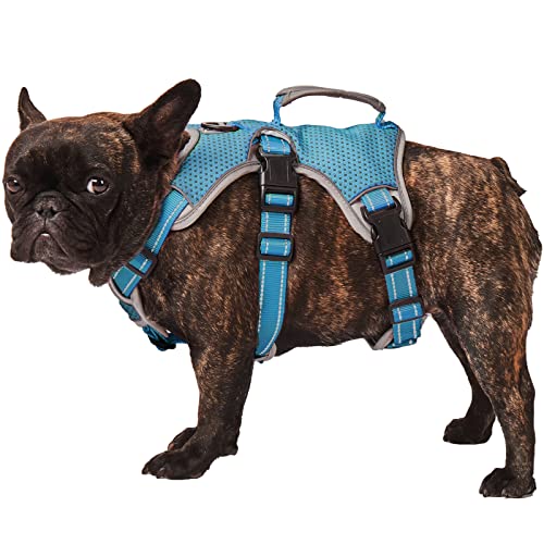 Escape Proof Dog Harness, Escape Artist Harness, Fully Reflective Harness with Padded Handle, Breathable,Durable, Adjustable Vest for Small Dogs Walking, Training, and Running Gear Blue (Small)